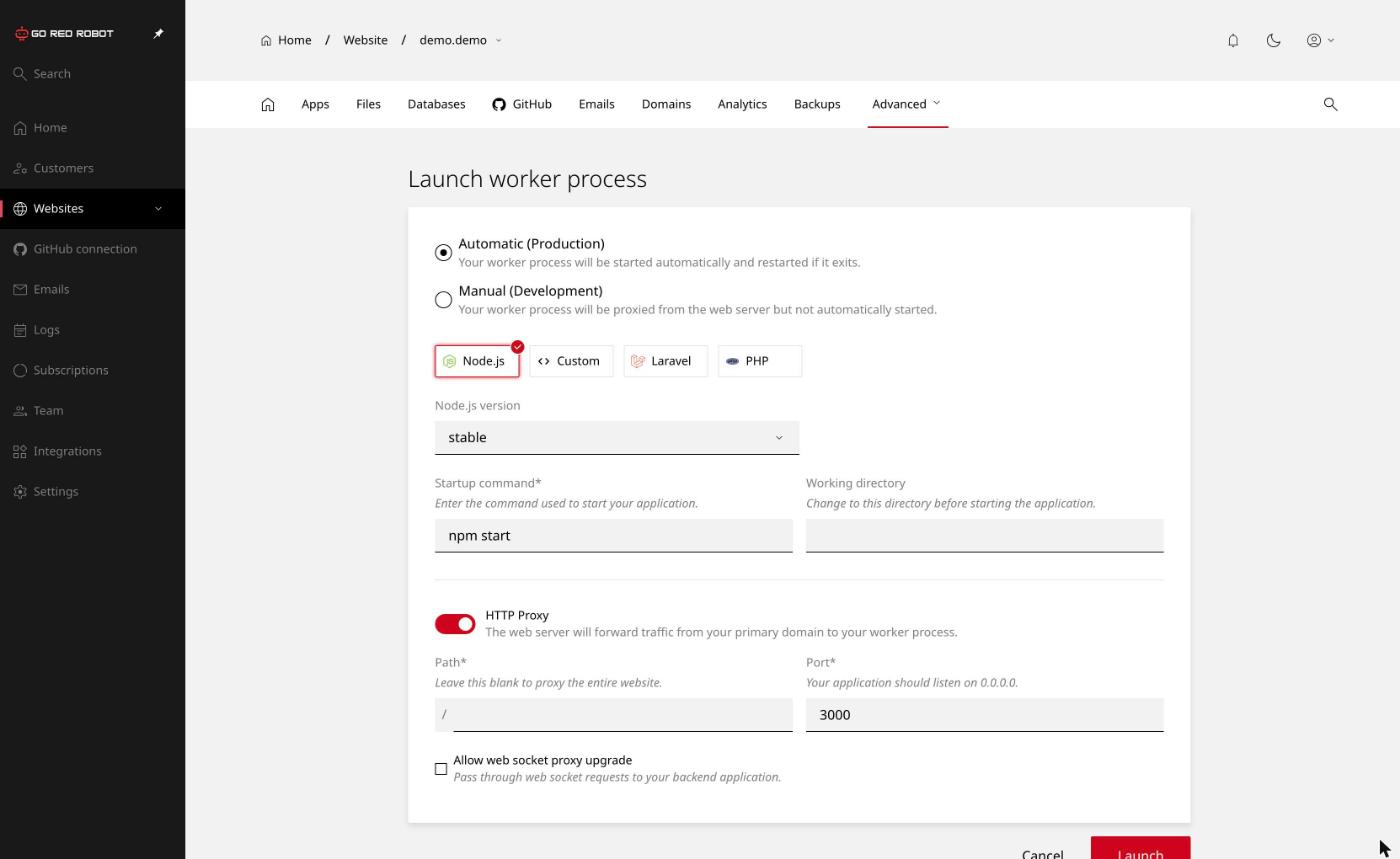 The Launch worker process screen, with production or development mode, application type, startup command, working directory and HTTP proxy settings.